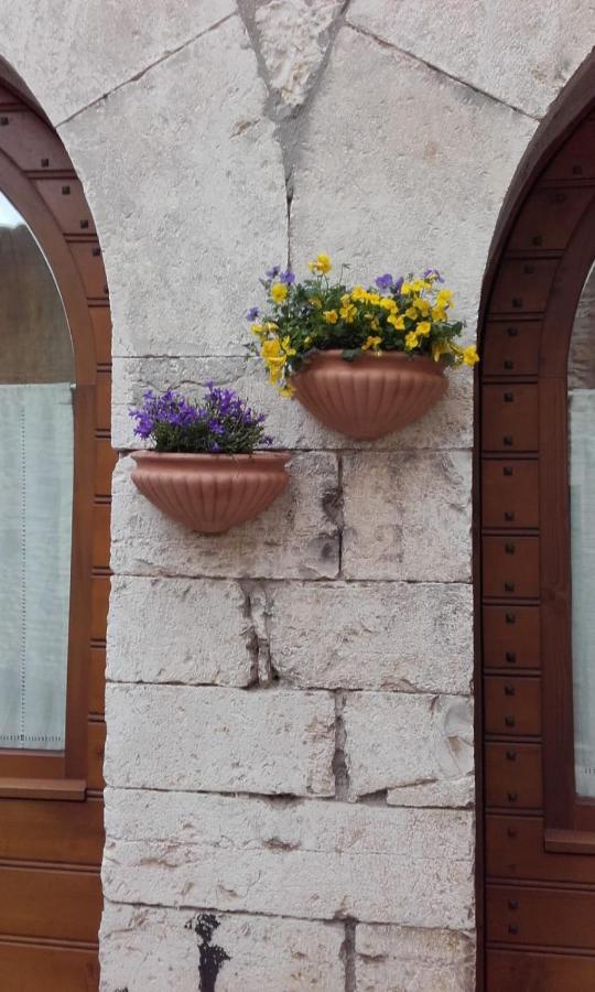La Chiocciola Assisi Lägenhet Exteriör bild